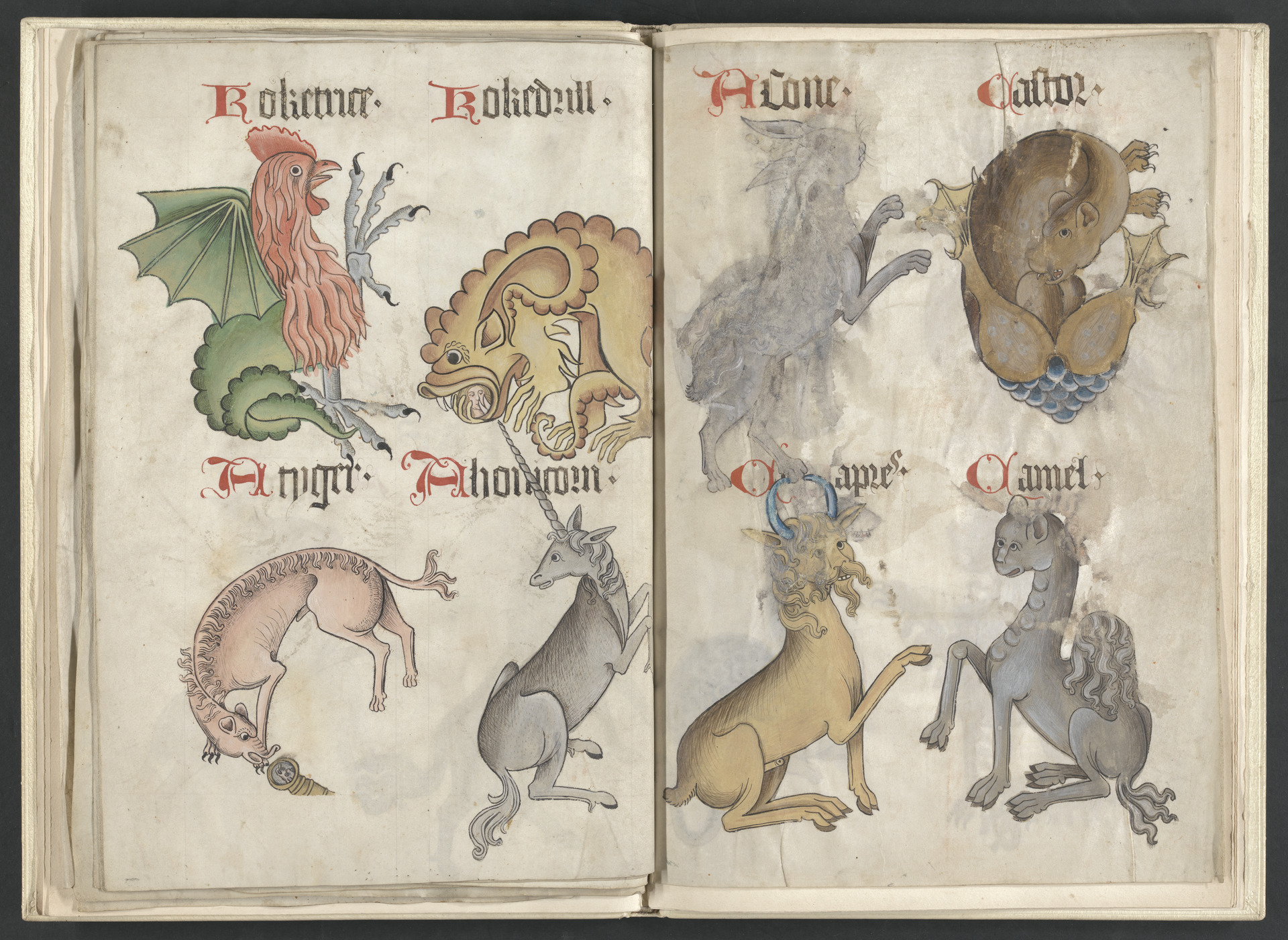 Medieval Bestiaries Notes from the ForeEdge
