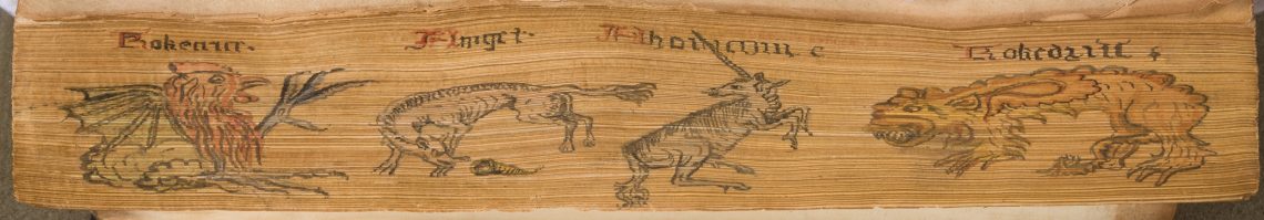 Notes from the Fore-Edge: