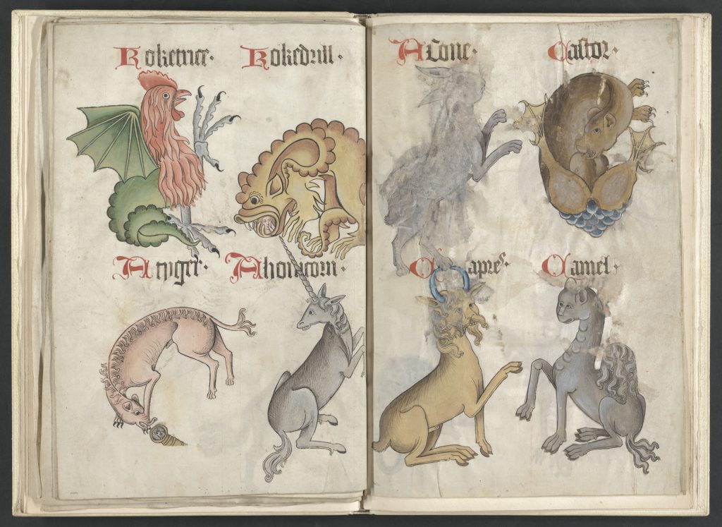 Medieval Bestiaries – Notes from the Fore-Edge: