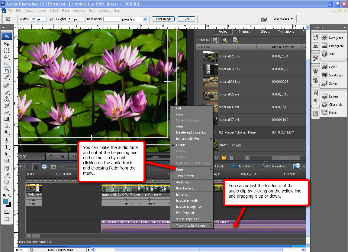 Visual guide to editing audio in Adobe Premiere Elements 7 step 1.